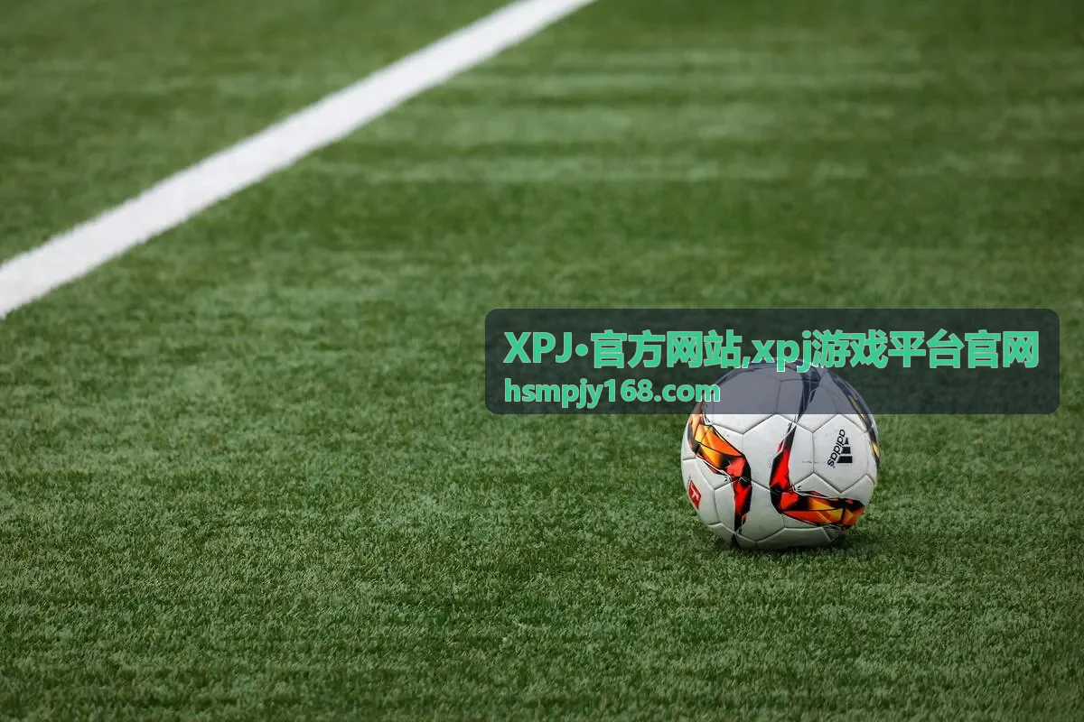 XPJ官方网站使用说明视觉图